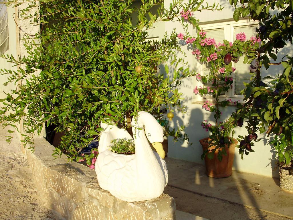Apartman Lucija Seline ห้อง รูปภาพ