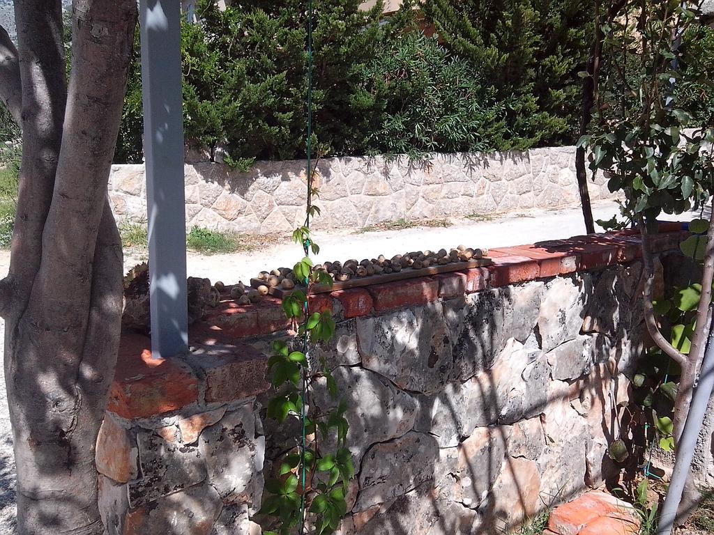 Apartman Lucija Seline ภายนอก รูปภาพ
